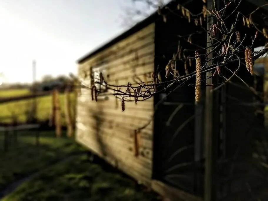 Apartment Penn Bergeyn Shepherd'S Huts Exeter